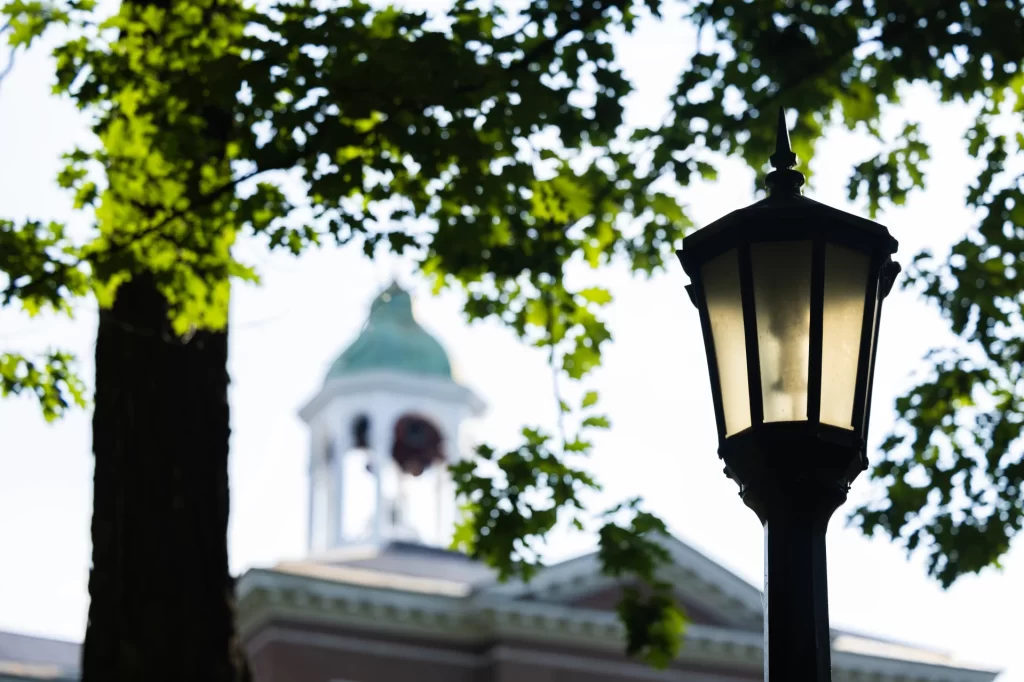 lightpost and hathorn steeple through the foliage